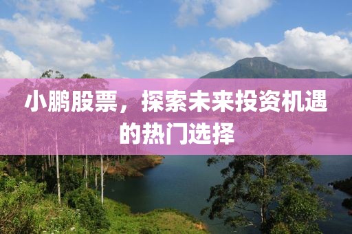 小鵬股票，探索未來投資機(jī)遇的熱門選擇