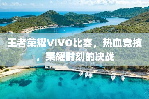 王者榮耀VIVO比賽，熱血競技，榮耀時刻的決戰(zhàn)