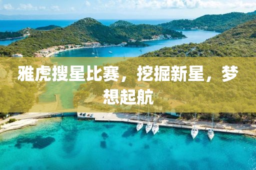 雅虎搜星比賽，挖掘新星，夢(mèng)想起航