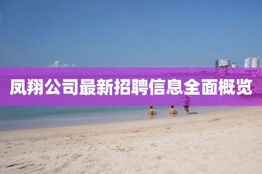 鳳翔公司最新招聘信息全面概覽
