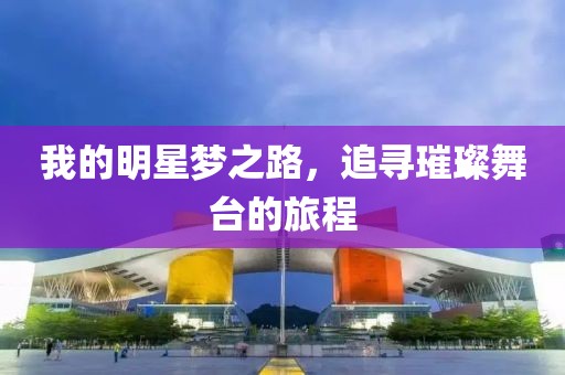 我的明星夢之路，追尋璀璨舞臺的旅程
