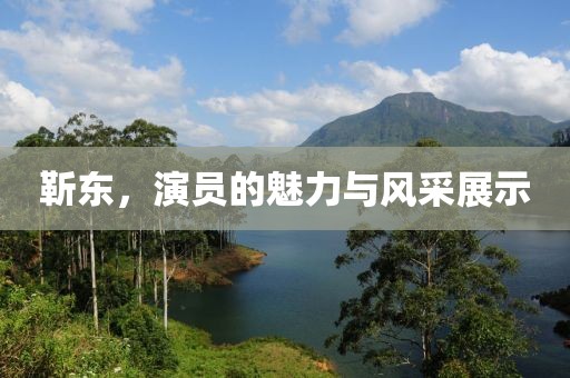 靳東，演員的魅力與風采展示