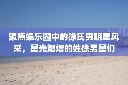 聚焦娛樂圈中的徐氏男明星風(fēng)采，星光熠熠的姓徐男星們