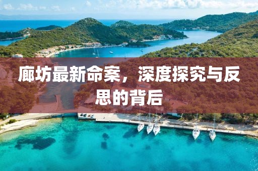 廊坊最新命案，深度探究與反思的背后