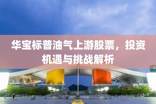 華寶標普油氣上游股票，投資機遇與挑戰(zhàn)解析