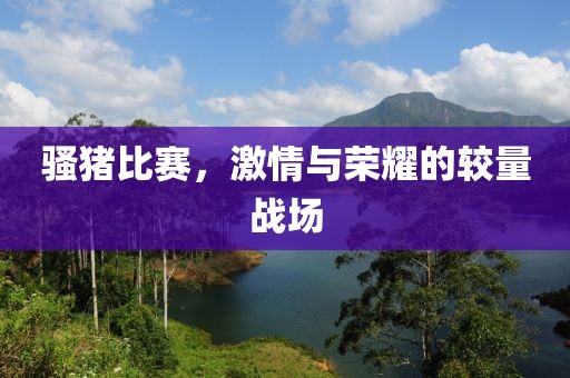 騷豬比賽，激情與榮耀的較量戰(zhàn)場(chǎng)
