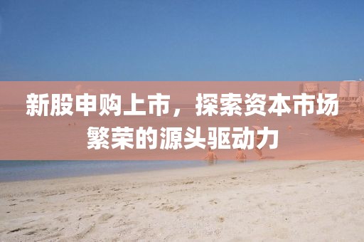 新股申購(gòu)上市，探索資本市場(chǎng)繁榮的源頭驅(qū)動(dòng)力