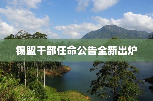 錫盟干部任命公告全新出爐