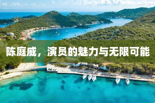 陳庭威，演員的魅力與無限可能