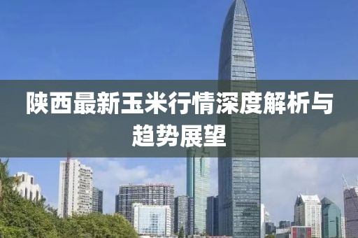 陜西最新玉米行情深度解析與趨勢展望
