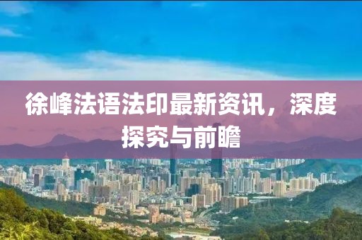 徐峰法語(yǔ)法印最新資訊，深度探究與前瞻