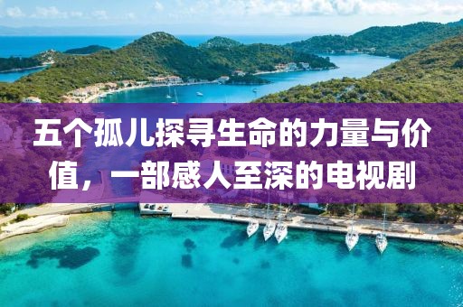 五個(gè)孤兒探尋生命的力量與價(jià)值，一部感人至深的電視劇