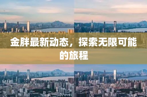 金胖最新動態(tài)，探索無限可能的旅程