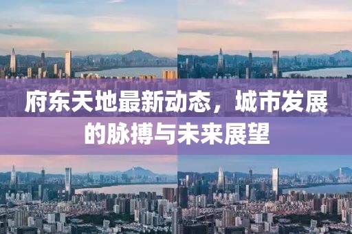 府東天地最新動態(tài)，城市發(fā)展的脈搏與未來展望