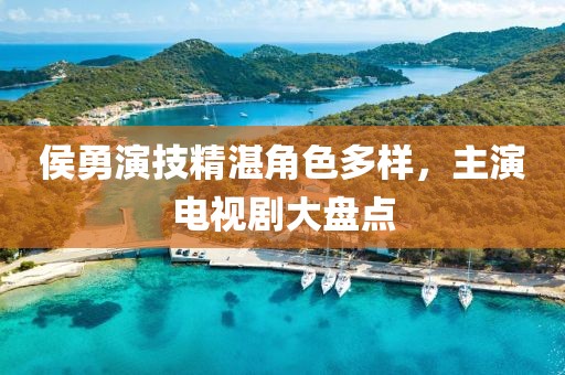 侯勇演技精湛角色多樣，主演電視劇大盤點