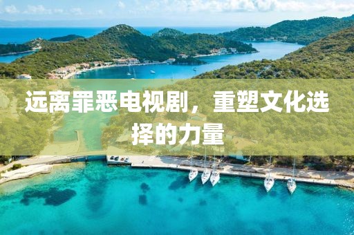 遠(yuǎn)離罪惡電視劇，重塑文化選擇的力量