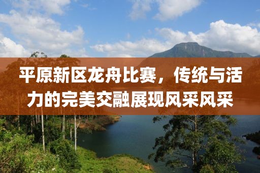 平原新區(qū)龍舟比賽，傳統(tǒng)與活力的完美交融展現(xiàn)風(fēng)采風(fēng)采