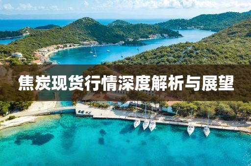 焦炭現(xiàn)貨行情深度解析與展望