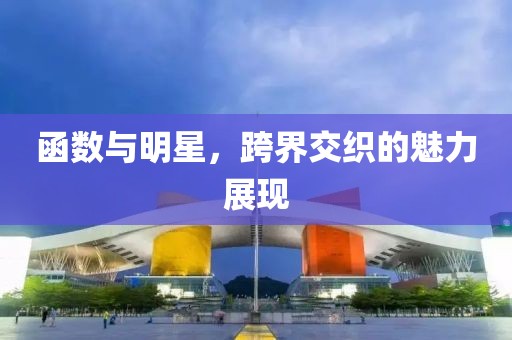 函數(shù)與明星，跨界交織的魅力展現(xiàn)