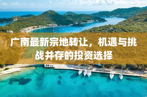 廣南最新宗地轉(zhuǎn)讓，機遇與挑戰(zhàn)并存的投資選擇