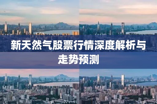 新天然氣股票行情深度解析與走勢預(yù)測
