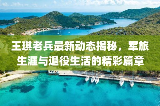 王琪老兵最新動態(tài)揭秘，軍旅生涯與退役生活的精彩篇章