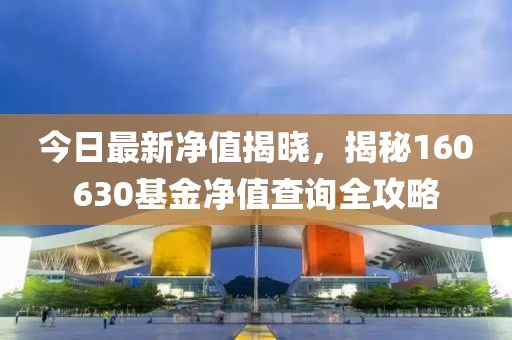 今日最新凈值揭曉，揭秘160630基金凈值查詢全攻略