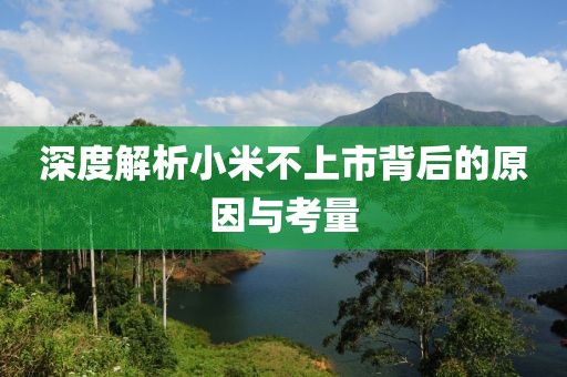 深度解析小米不上市背后的原因與考量