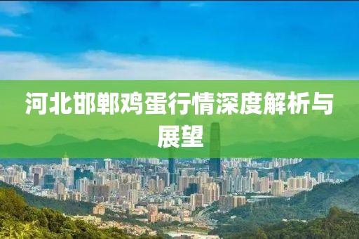 河北邯鄲雞蛋行情深度解析與展望