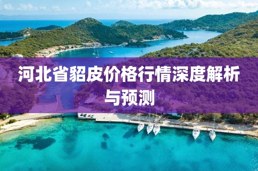 河北省貂皮價(jià)格行情深度解析與預(yù)測(cè)