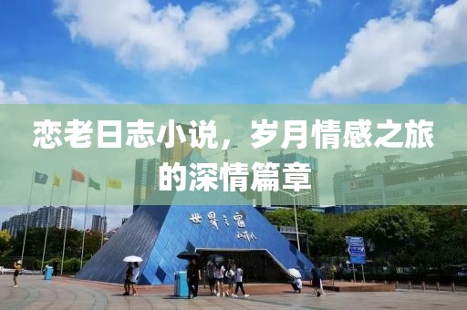 戀老日志小說，歲月情感之旅的深情篇章
