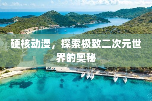 硬核動(dòng)漫，探索極致二次元世界的奧秘