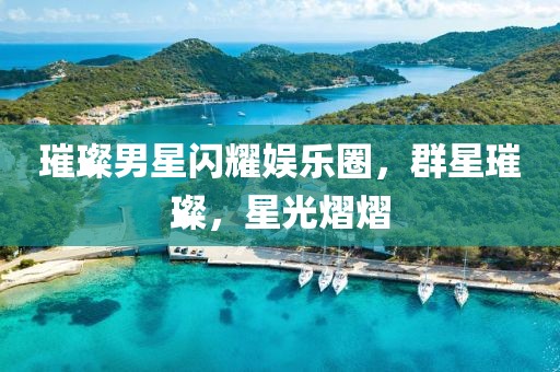 璀璨男星閃耀娛樂圈，群星璀璨，星光熠熠