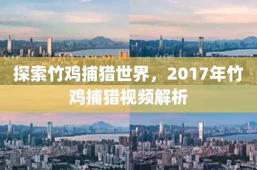 探索竹雞捕獵世界，2017年竹雞捕獵視頻解析