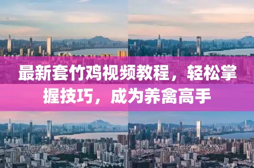 最新套竹雞視頻教程，輕松掌握技巧，成為養(yǎng)禽高手
