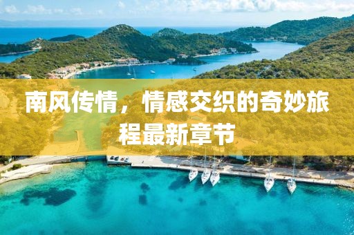 南風傳情，情感交織的奇妙旅程最新章節(jié)
