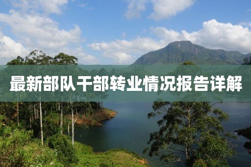 最新部隊(duì)干部轉(zhuǎn)業(yè)情況報(bào)告詳解
