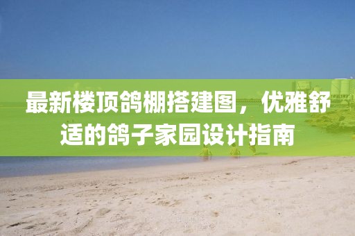 最新樓頂鴿棚搭建圖，優(yōu)雅舒適的鴿子家園設(shè)計指南
