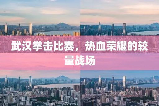 武漢拳擊比賽，熱血榮耀的較量戰(zhàn)場