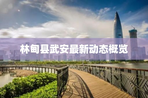 林甸縣武安最新動態(tài)概覽