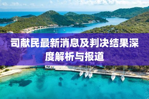 司獻(xiàn)民最新消息及判決結(jié)果深度解析與報(bào)道