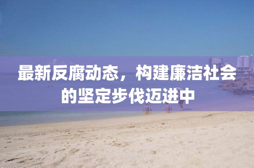 最新反腐動態(tài)，構(gòu)建廉潔社會的堅定步伐邁進中