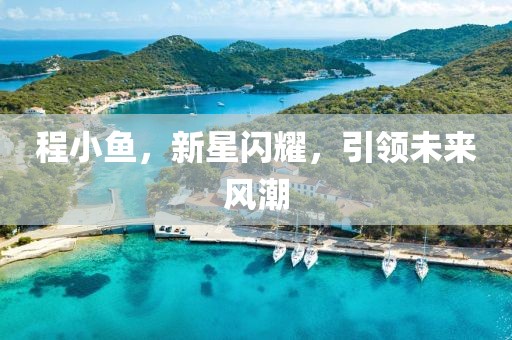 程小魚，新星閃耀，引領(lǐng)未來風(fēng)潮