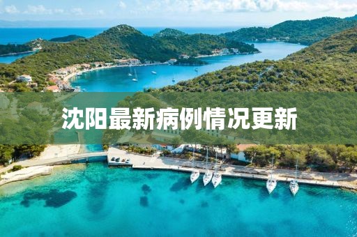 沈陽最新病例情況更新