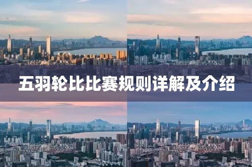 五羽輪比比賽規(guī)則詳解及介紹