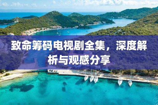 致命籌碼電視劇全集，深度解析與觀感分享