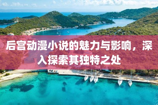 后宮動(dòng)漫小說的魅力與影響，深入探索其獨(dú)特之處