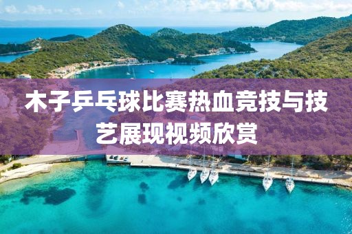 木子乒乓球比賽熱血競技與技藝展現(xiàn)視頻欣賞