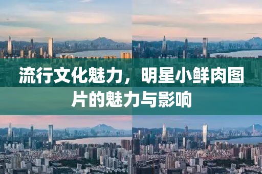 流行文化魅力，明星小鮮肉圖片的魅力與影響