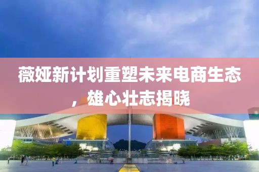 薇婭新計劃重塑未來電商生態(tài)，雄心壯志揭曉